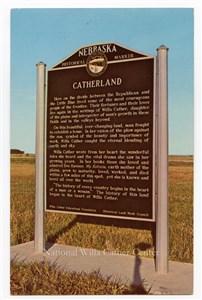 Image description is not available for PHO-264-889